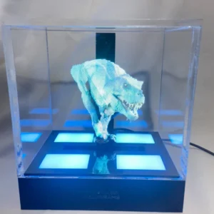 Hologram Display Case